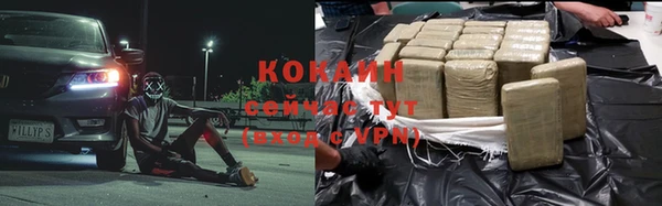 прущий лед Алзамай