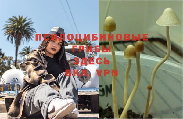 дурь Алексин