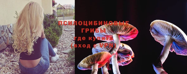 дурь Алексин
