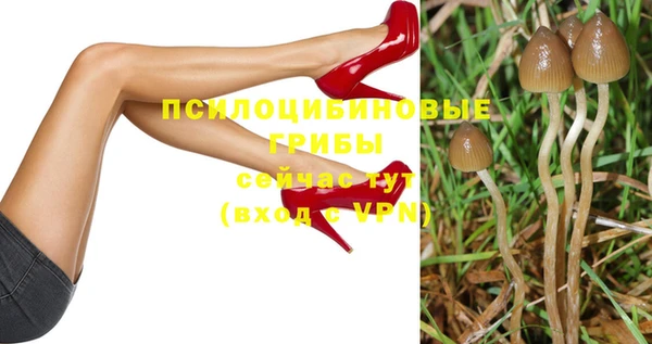 дурь Алексин