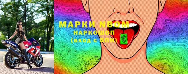 прущий лед Алзамай