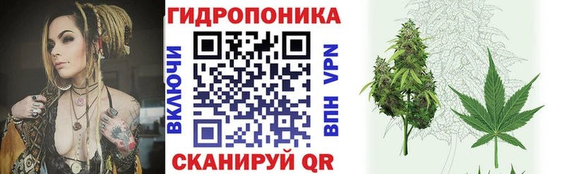 Конопля OG Kush Данков